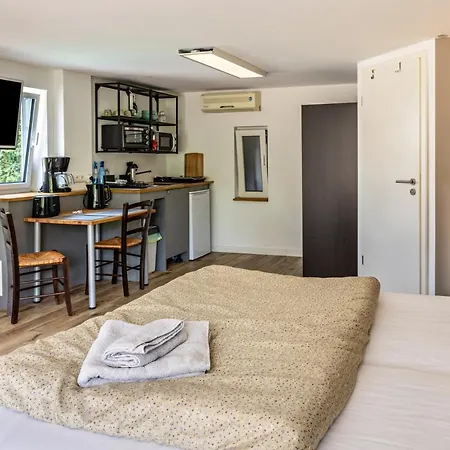 Konukevi Tinyhouse Baumann 3*